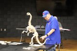 thumbnails/000-IMG_3358.JPG.small.jpeg